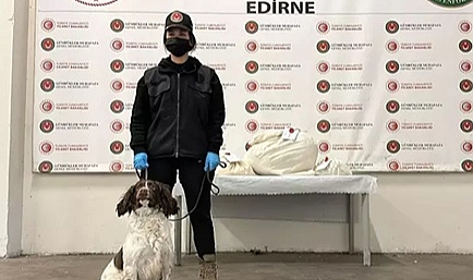 Kapıkule'de otomobildeki uyuşturucuyu 'Jeff' buldu