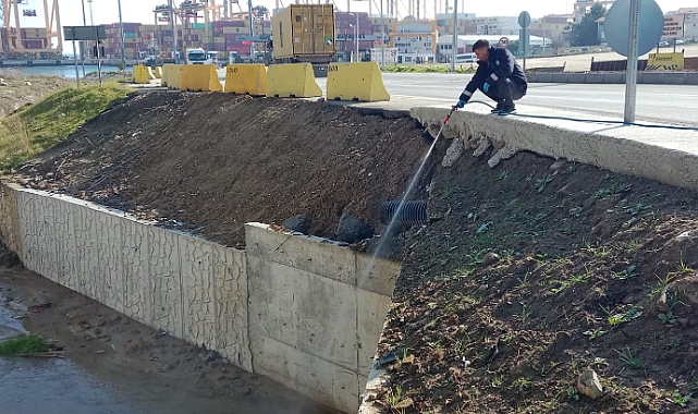 Süleymanpaşa Belediyesinden Erken Sivrisinek Mesaisi