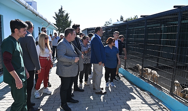 Süleymanpaşa Belediyesinden Sokak Kedilerine Şefkat Eli