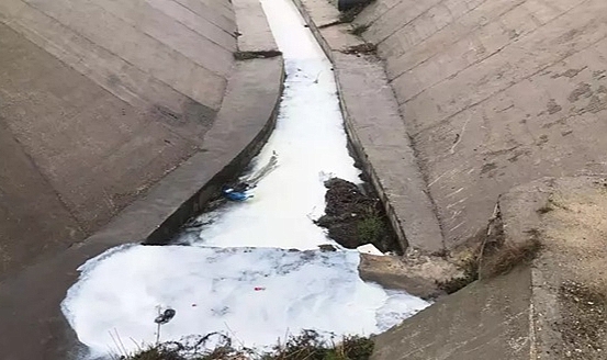 Tekirdağ'da atıkların karıştığı dere beyaz aktı