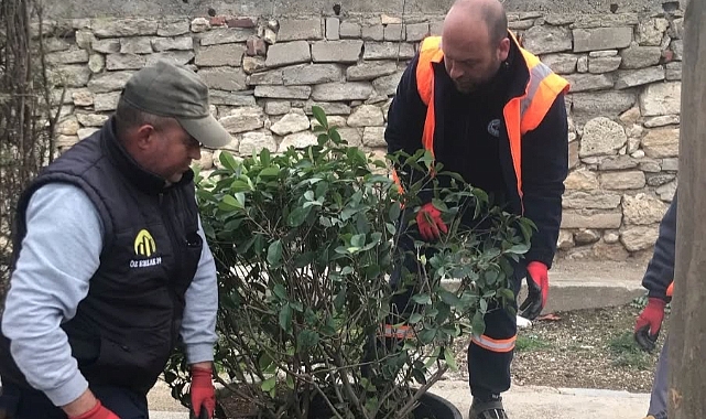 Kırklareli Belediyesi’nden Kurakçıl Peyzaj Uygulaması