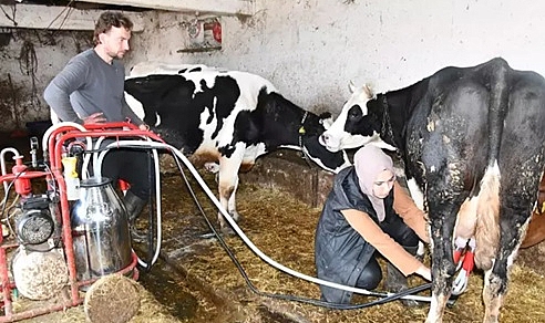 Köye yerleşen Gülizar devlet desteğiyle çiftlik kurdu; inek sayısı 12'ye çıktı, yumurta ve bal da üretiyor