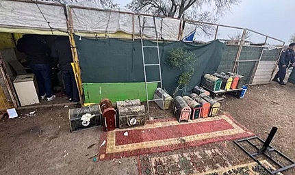 Tekirdağ'da horoz dövüştürenlere baskın; 28 kişiye 258 bin lira ceza
