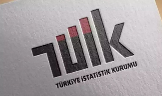 TÜİK: 2024'te işsizlik oranı yüzde 8,7 oldu