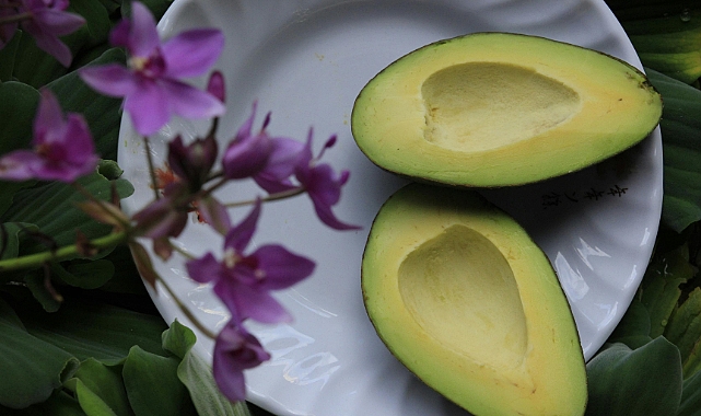 Vitamin Deposu Avokado: Kalp Sağlığından Sindirime Mucizevi Etkiler