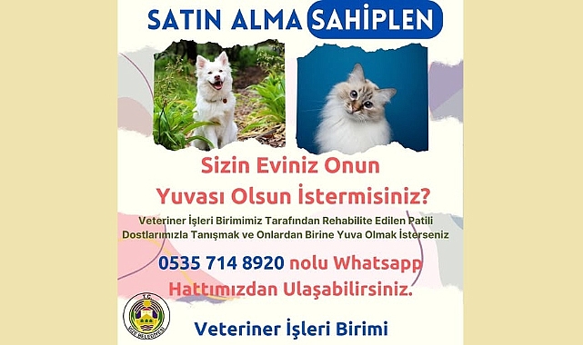 Vize Belediyesi’nden Sahipsiz Hayvanlara Yuva Çağrısı