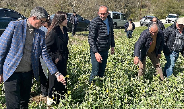 Başkan Levent Şenol: Don Zararını Yerinde İnceledik