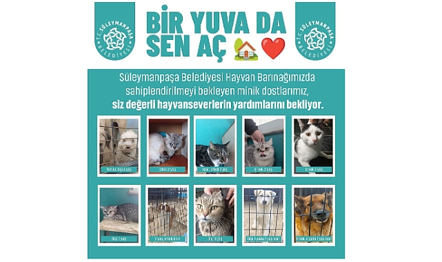 Süleymanpaşa Belediyesinden Anlamlı Çağrı