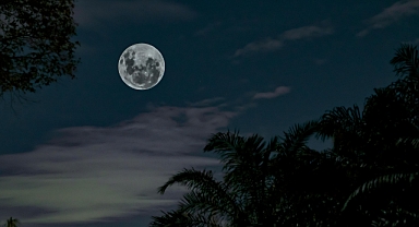 24 Haziran 2025 Salı Günlük Burç Yorumları: İç Sesinize Kulak Verin