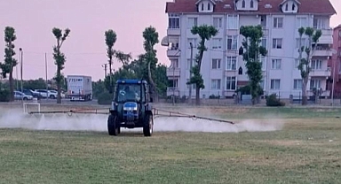 Babaeski’de Sivrisinek ve Kene İlaçlaması Başladı