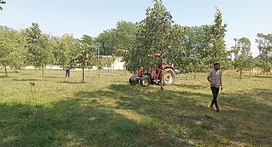 Büyükkarıştıran Belediyesi'nden Kene ve Zararlı Haşerelere Karşı İlaçlama Çalışmaları