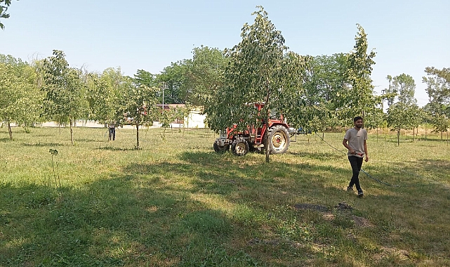 Büyükkarıştıran Belediyesi'nden Kene ve Zararlı Haşerelere Karşı İlaçlama Çalışmaları