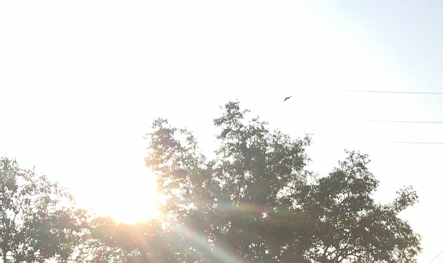 Güneşli Bir Gün Kapıda
