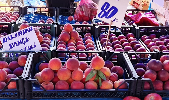 Kırklareli Halk Pazarı'nda Yaz Fiyatları: Şeftali 80, Patates 20, Soğan 15 Lira