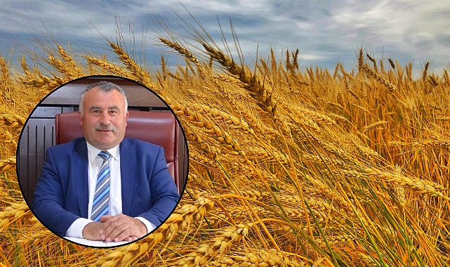 Lisanslı Depoculukta Yeni Dönem: TMO’ya Ürün Tesliminde Bunları Unutmayın!