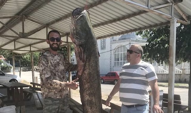 Meriç Nehri'nde 80 kilo ağırlığında yayın balığı yakaladı