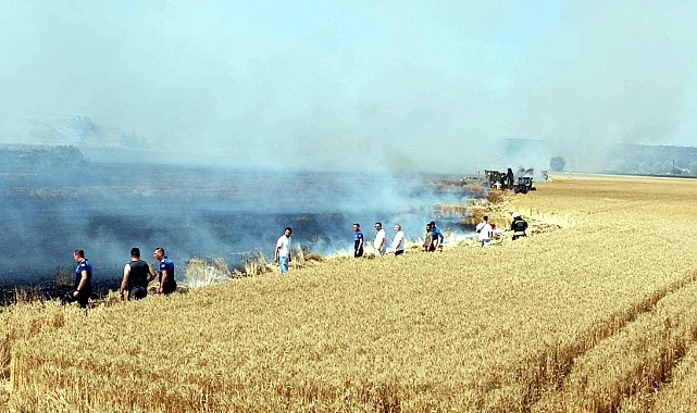 Tekirdağ'da yangında 400 dönüm buğday ekili tarla zarar gördü