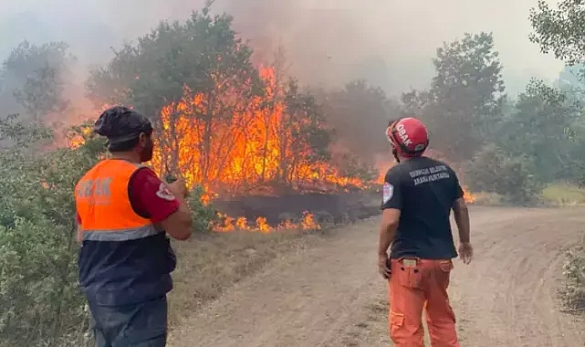 Eskişehir'deki Orman Yangınında 10 Kişi Şehit Oldu: Soruşturma Başlatıldı
