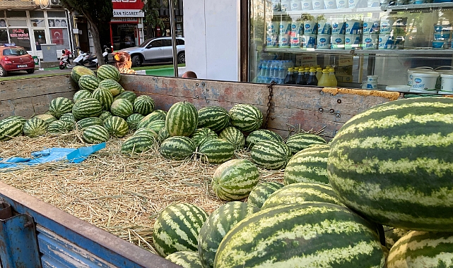 Kavakdere Karpuzu Serinletiyor: Tane Fiyatı 50 TL'den Başlıyor