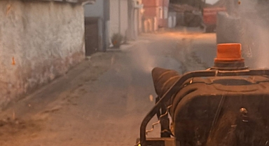 Kaynarca'da Haşerelere Karşı Etkin Mücadele