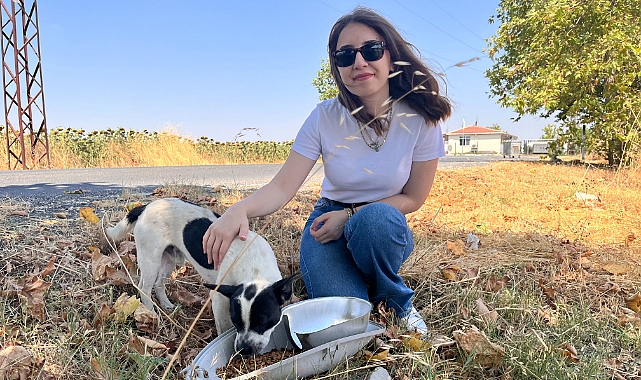 TREDAŞ’tan Sokak Hayvanları İçin Örnek Proje