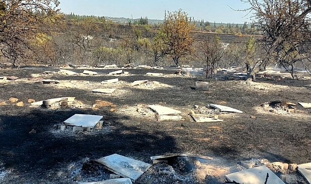 Karamesutlu'daki Yangında 150 Arı Kovanı Zarar Gördü