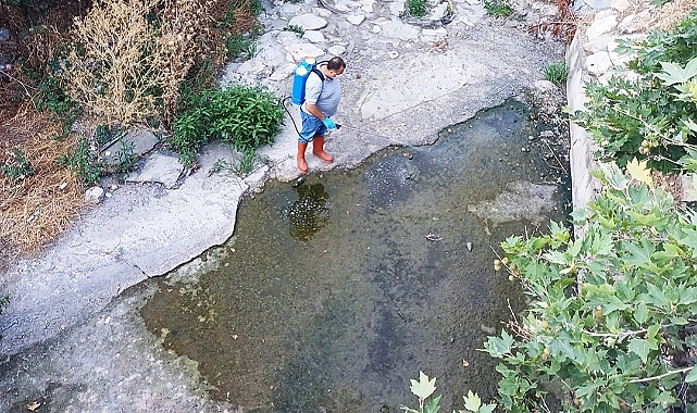 Kırklareli Belediyesi'nden Vektörlerle Kararlı Mücadele