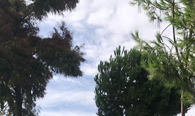 Babaeski Hava Durumu: Yarın Parçalı Bulutlu Bir Gün Bekleniyor