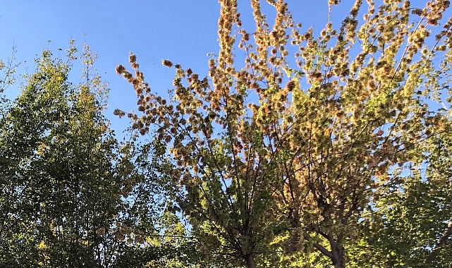 Babaeski Hava Durumu: Yarın Parçalı Bulutlu Hava Bekleniyor