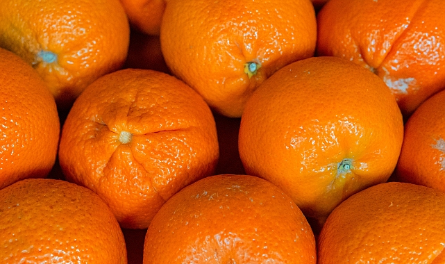 Mandalina: Sağlık ve Lezzetin Buluştuğu Meyve