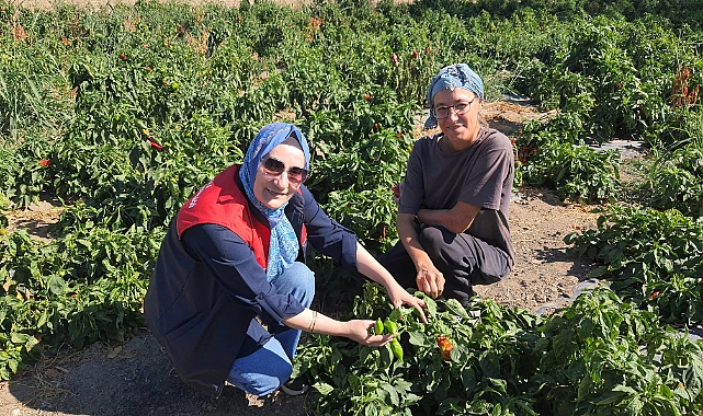 Tarımda Yerinde Destek ve Bilgilendirme