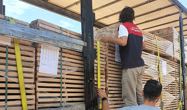 Teknik Personeller Tarafından Yerinde Kontroller