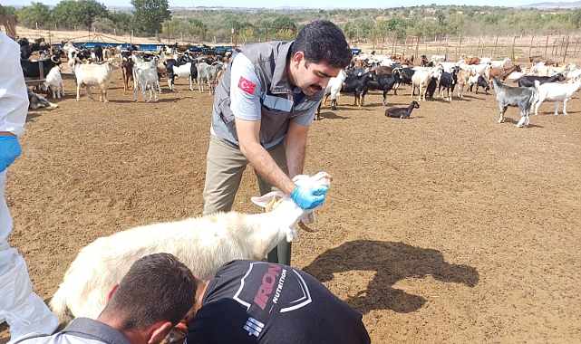 Üreticilere Biyogüvenlik Uyarısı