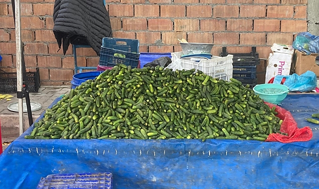 Kırklareli Halk Pazarında Turşuluk Bereketi