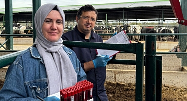 Lüleburgaz'da Ari Hayvancılık İşletmelerinde Kontroller Sürüyor
