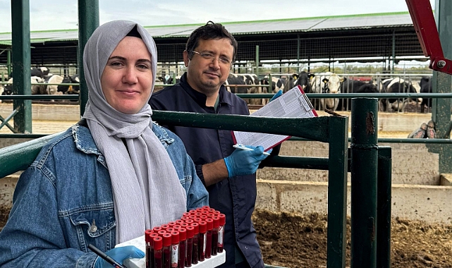 Lüleburgaz'da Ari Hayvancılık İşletmelerinde Kontroller Sürüyor