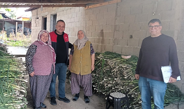 Lüleburgaz'da Beyaz Pırasa Hasadı Denetim Altında Sürdürülüyor