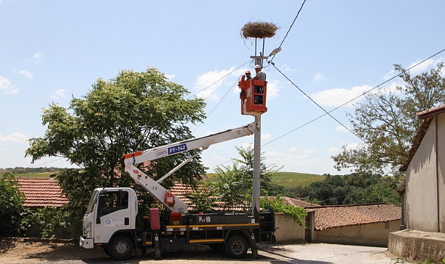 Trakya’nın Enerjisi Doğayla Uyum İçinde Dağıtılıyor