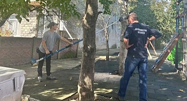 Büyükkarıştıran'da Ağaç Budama Çalışmaları Hızla Sürüyor