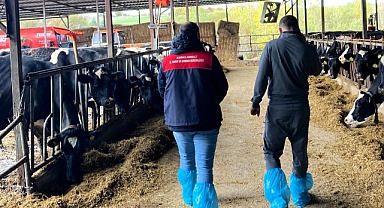 Pınarhisar'da Ari Hayvancılık İşletmesine Denetim Ziyareti