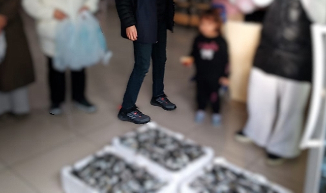 Asgari Boy Altındaki 307 Koli İstavrite El Konuldu