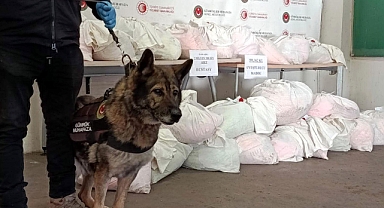 Kapıkule'ye gelen TIR'daki 591 kilo uyuşturucuyu 'Bodri' buldu