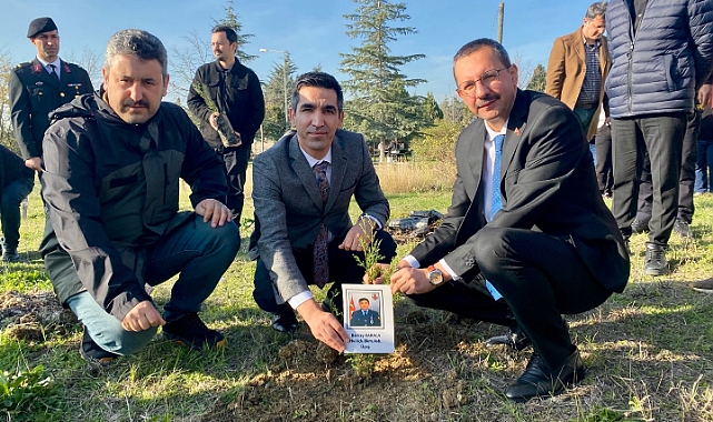 Pınarhisar’da Şehitler Anısına Ağaç Dikim Etkinliği Düzenlendi