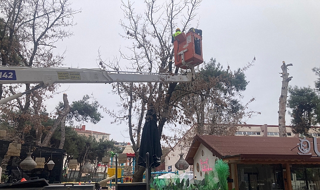 Kırklareli Belediyesi Ağaç Bakım ve Budama Çalışmalarını Sürdürüyor