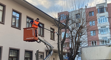Kırklareli’nde Ağaç Budama Çalışmaları Sürüyor