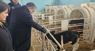 Vize’de Hayvancılık İşletmesine Ziyaret