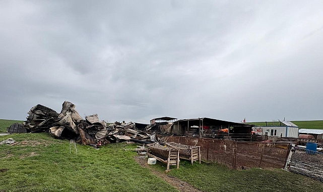 Tekirdağ'da çiftlik yangınında ölen küçükbaş sayısı 230'a yükseldi