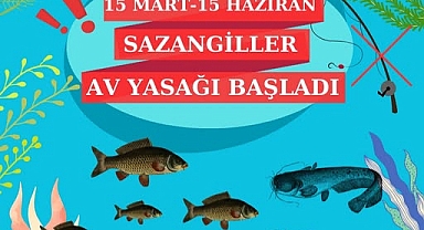 Kırklareli'nde Sazangiller İçin Av Yasağı Başladı: Balıkçılar Dikkat
