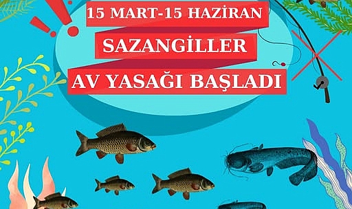 Kırklareli'nde Sazangiller İçin Av Yasağı Başladı: Balıkçılar Dikkat