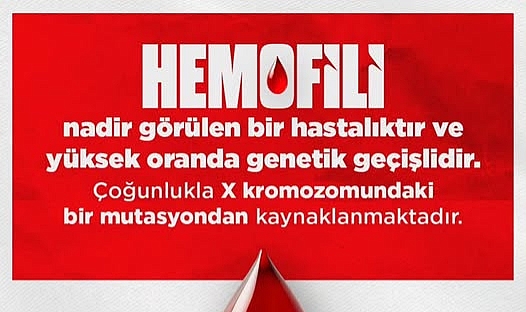 Hemofili Nedir? Genetik Geçişli Nadir Hastalık Hakkında Önemli Bilgiler